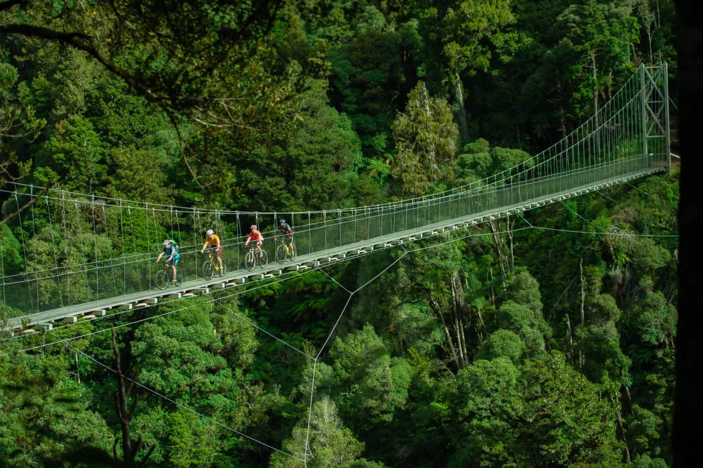 The Mangatukutuku Suspension Bridge – second longest on the Timber Trail (StudioZag)