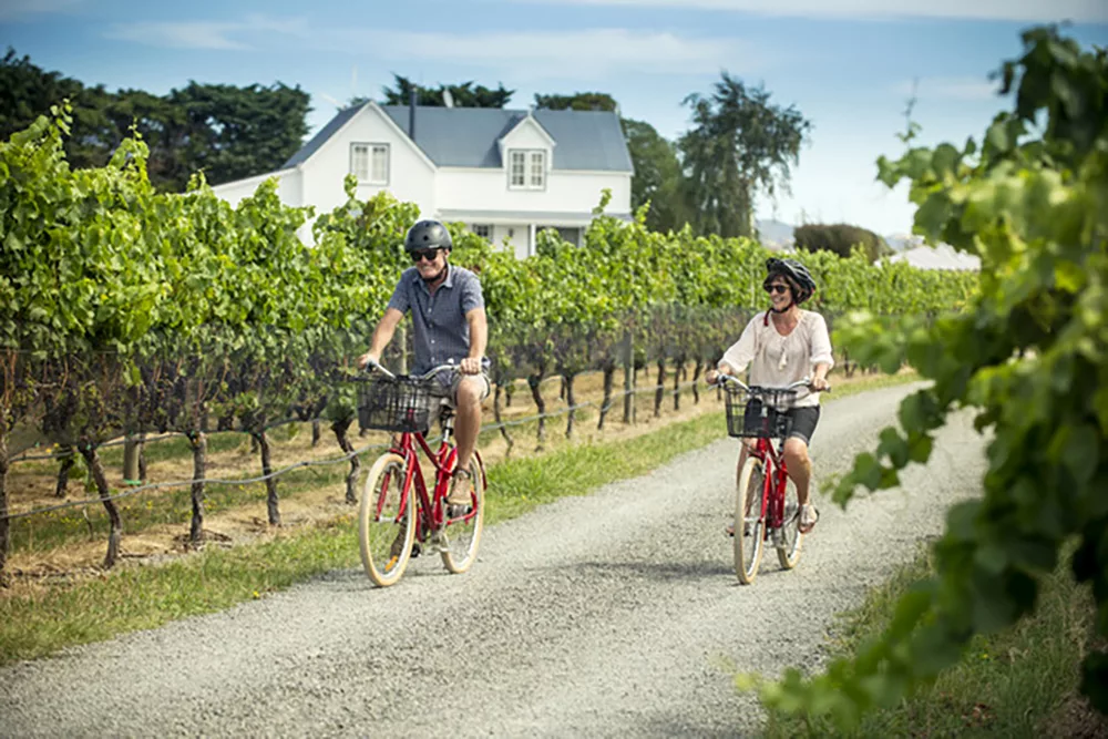Touring Martinborough's vineyards on two wheels – now there's a wine match (Destination Wairarapa)